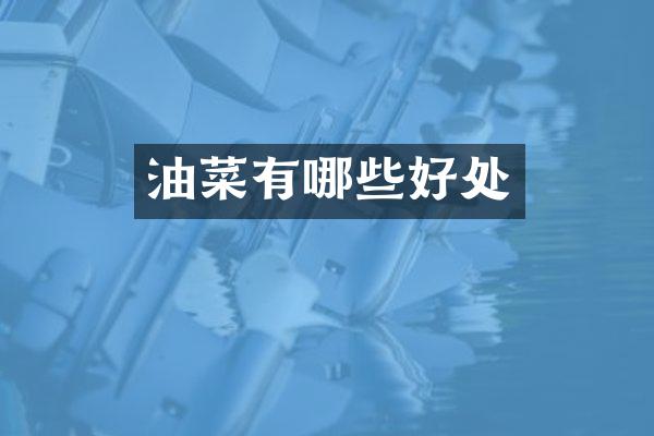 油菜有哪些好处