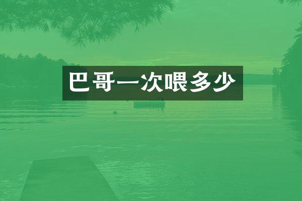 巴哥一次喂多少