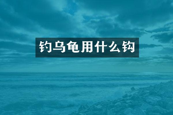 钓乌龟用什么钩