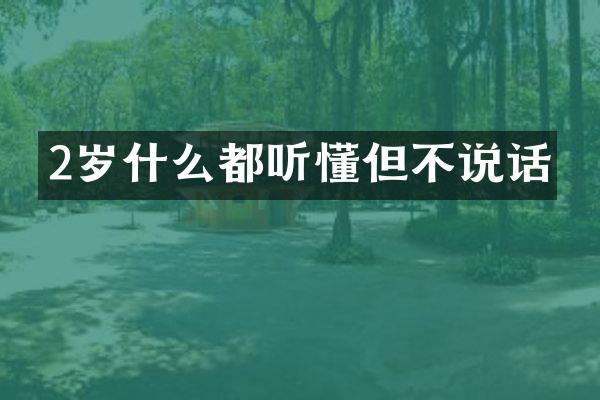 2岁什么都听懂但不说话