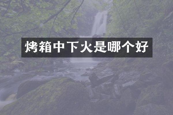 烤箱中下火是哪个好