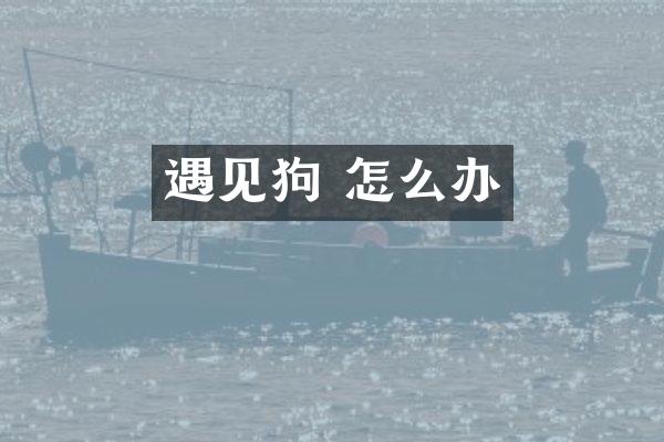 遇见狗 怎么办