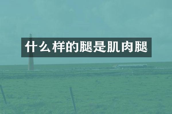 什么样的腿是肌肉腿