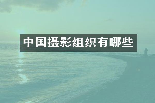 中国摄影组织有哪些
