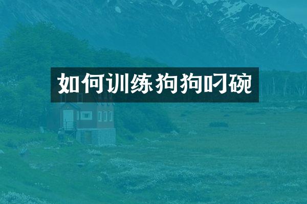 如何训练狗狗叼碗