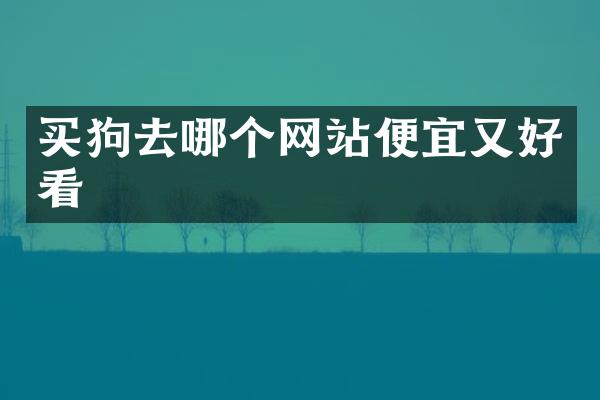 买狗去哪个网站便宜又好看