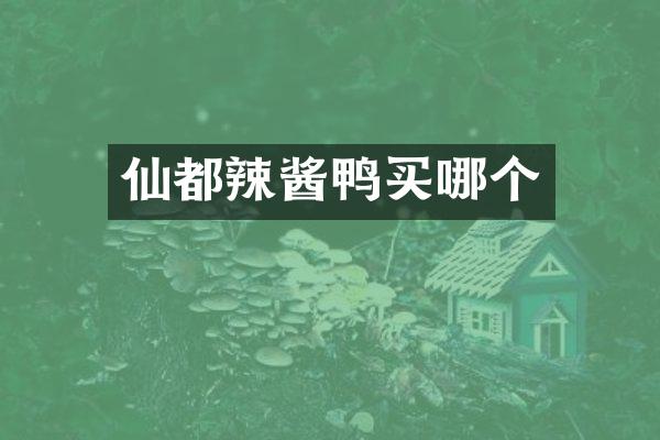 仙都辣酱鸭买哪个