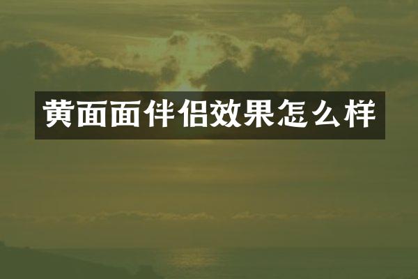 黄面面伴侣效果怎么样