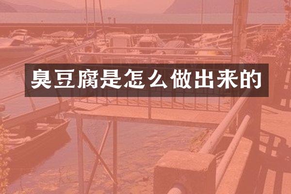 臭豆腐是怎么做出来的