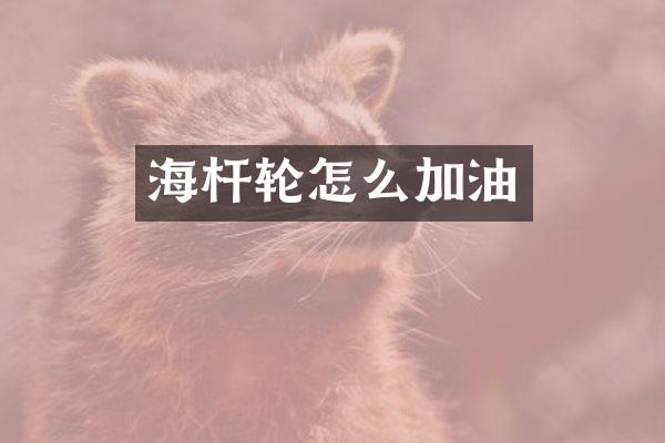 海杆轮怎么加油