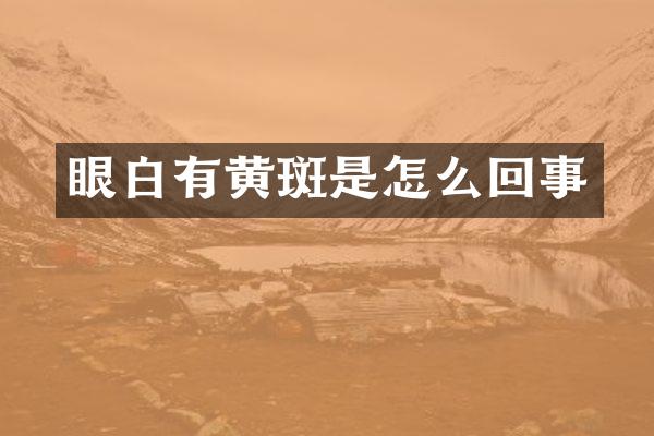 眼白有黄斑是怎么回事