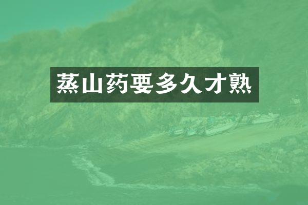 蒸山药要多久才熟