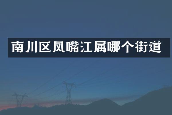 南川区凤嘴江属哪个街道