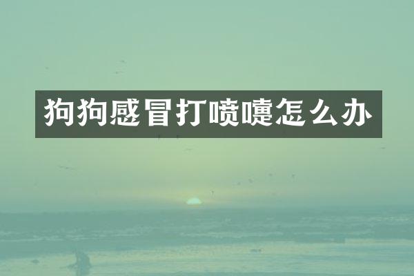 狗狗感冒打喷嚏怎么办