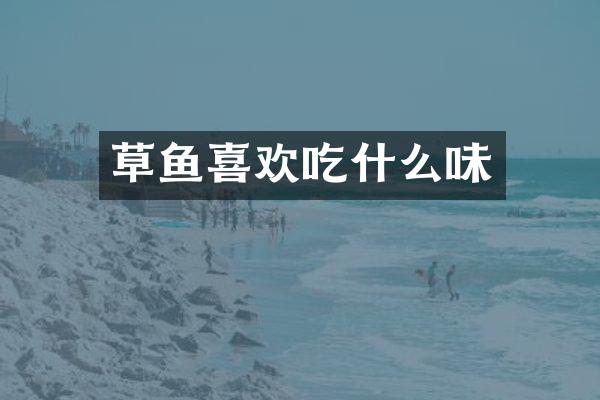 草鱼喜欢吃什么味