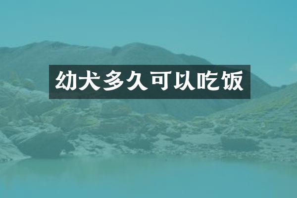 幼犬多久可以吃饭