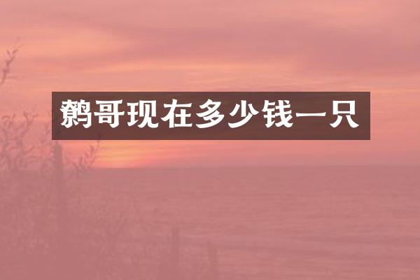 鹩哥现在多少钱一只