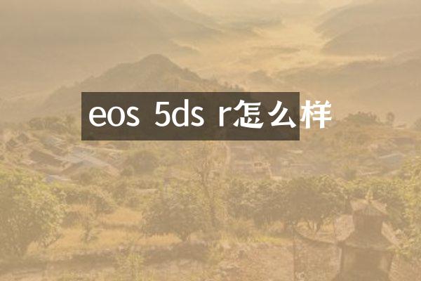 eos 5ds r怎么样