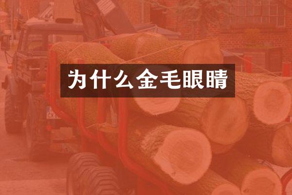 为什么金毛眼睛