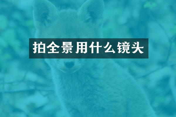 拍全景用什么镜头