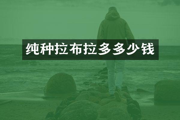 纯种拉布拉多多少钱
