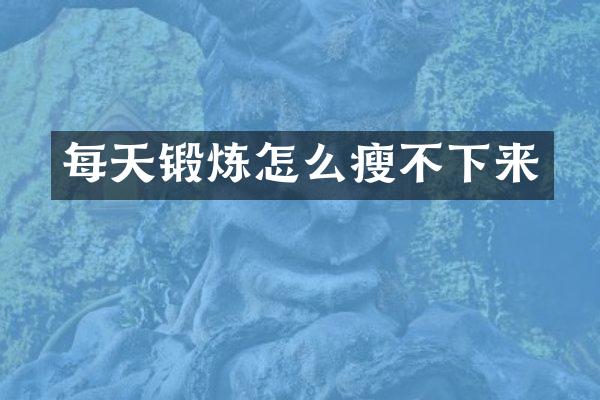 每天锻炼怎么瘦不下来