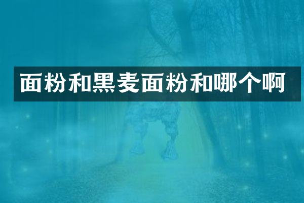 面粉和黑麦面粉和哪个啊