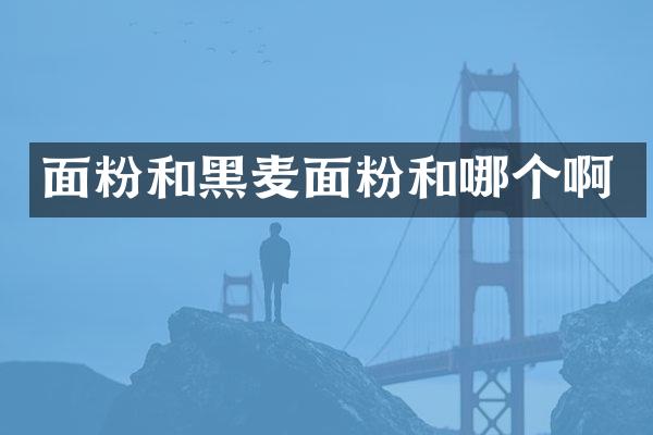 面粉和黑麦面粉和哪个啊