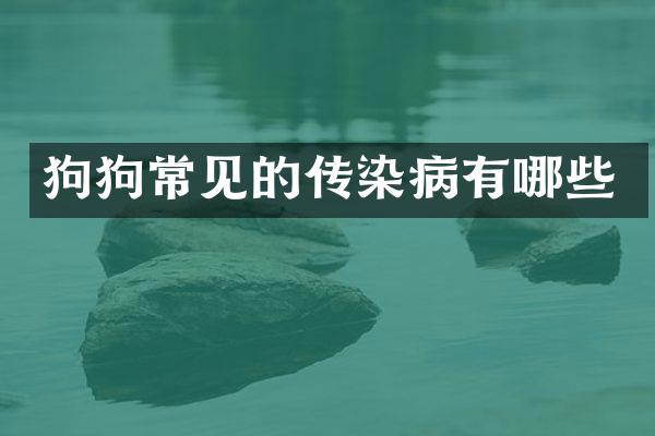 狗狗常见的传染病有哪些
