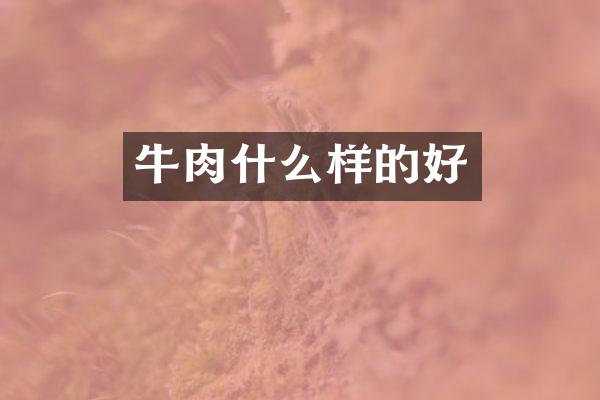 牛肉什么样的好