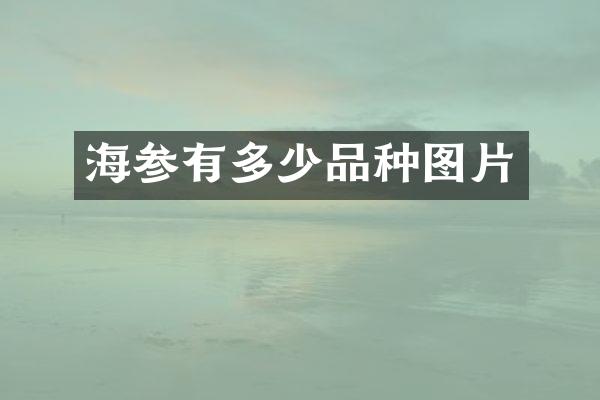 海参有多少品种图片