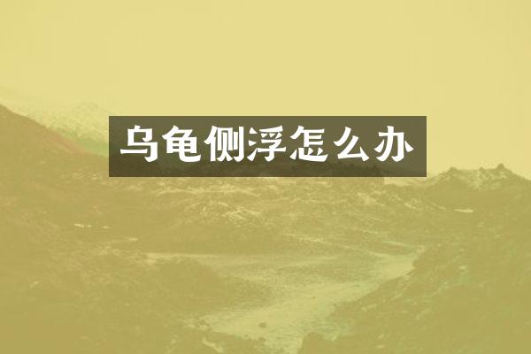 乌龟侧浮怎么办