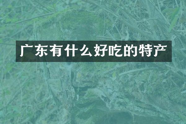 广东有什么好吃的特产