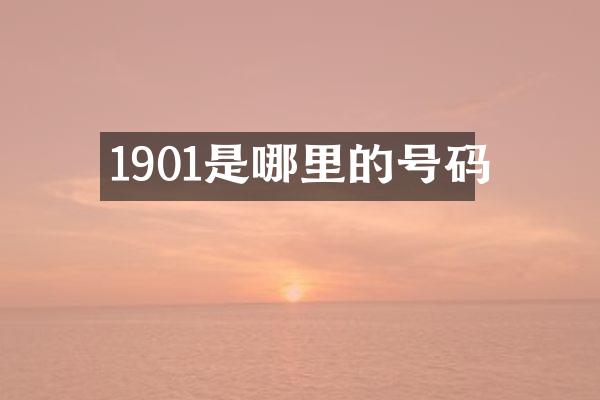 1901是哪里的号码