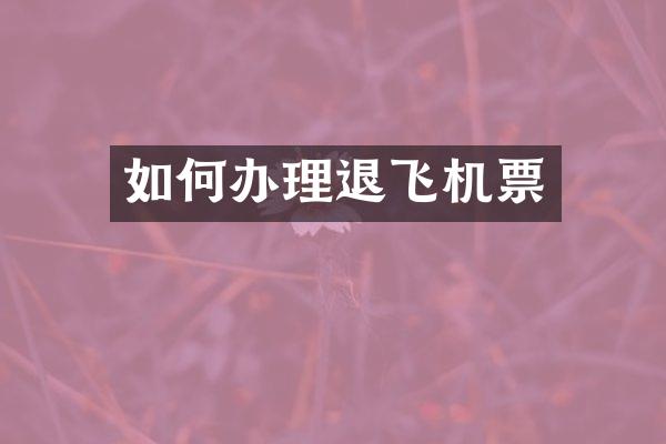 如何办理退飞机票