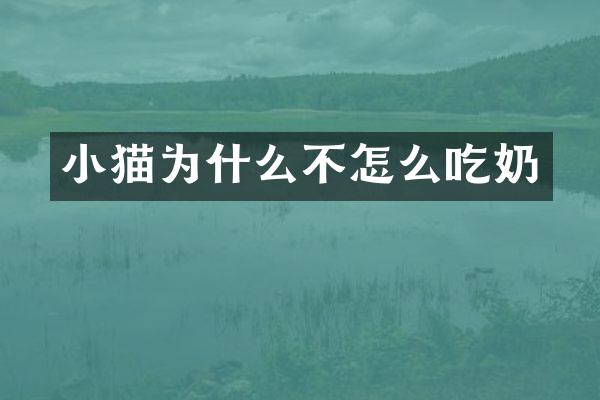 小猫为什么不怎么吃奶