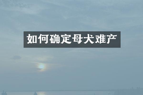 如何确定母犬难产