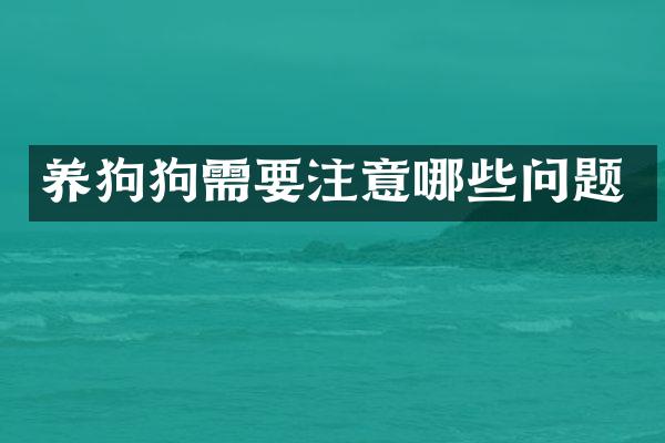 养狗狗需要注意哪些问题
