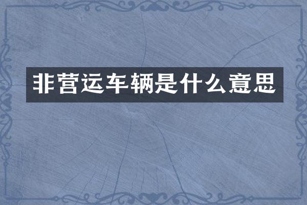 非营运车辆是什么意思