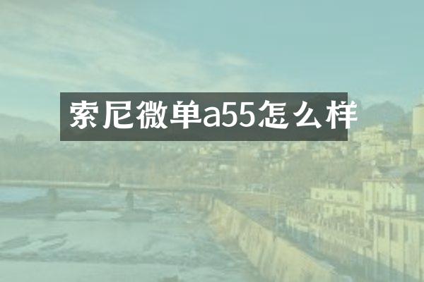 索尼微单a55怎么样