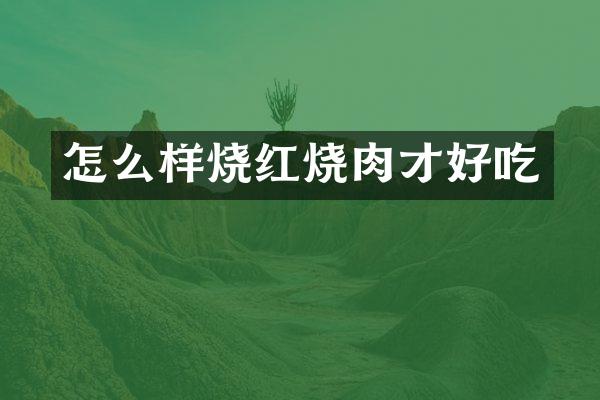 怎么样烧红烧肉才好吃
