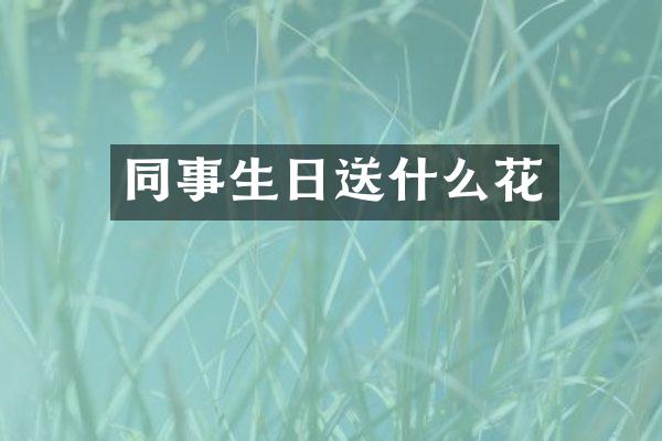 同事生日送什么花