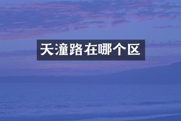 天潼路在哪个区