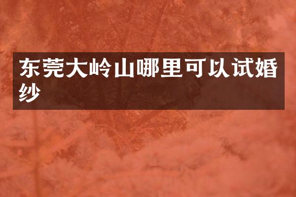 东莞大岭山哪里可以试婚纱