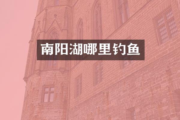 南阳湖哪里钓鱼