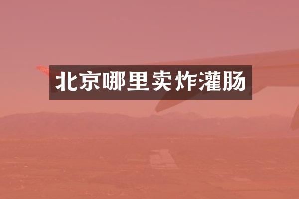 北京哪里卖炸灌肠