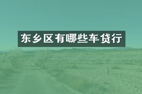 东乡区有哪些车贷行