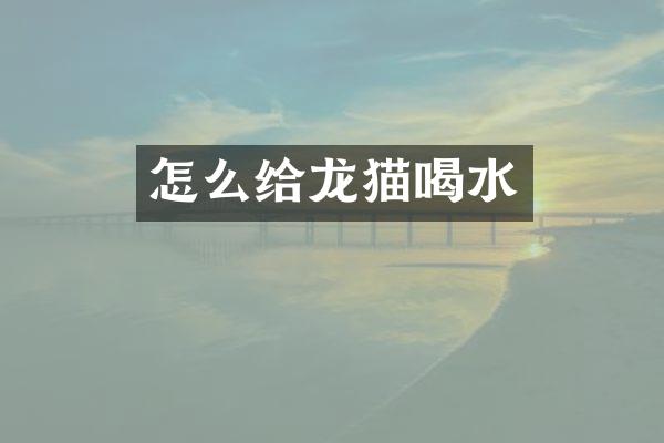 怎么给龙猫喝水