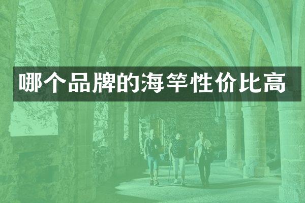 哪个品牌的海竿性价比高
