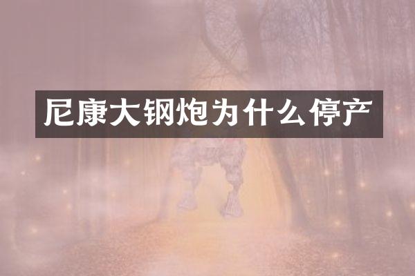 尼康大钢炮为什么停产